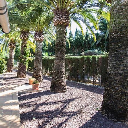 Finca Pepe 2 Hotel Dénia Eksteriør billede